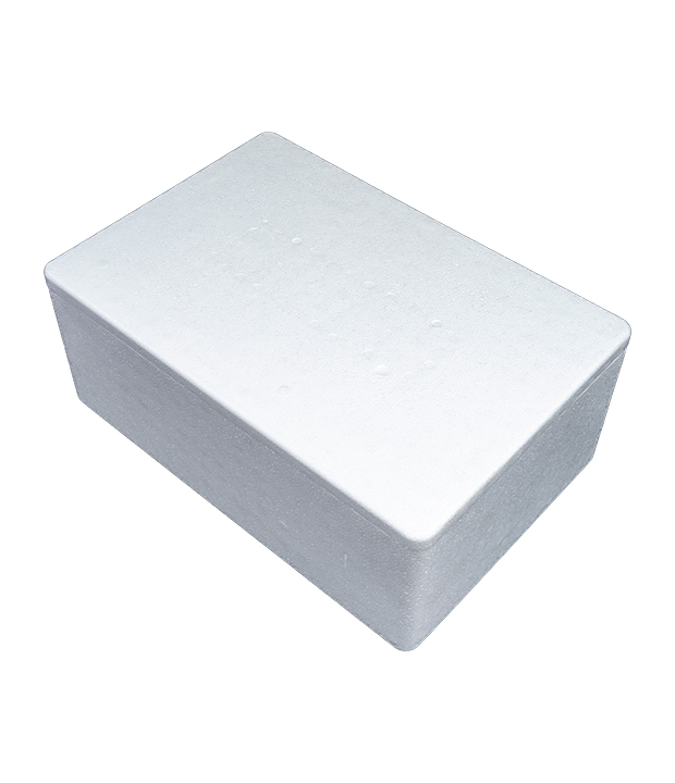 EPS Packaging Box